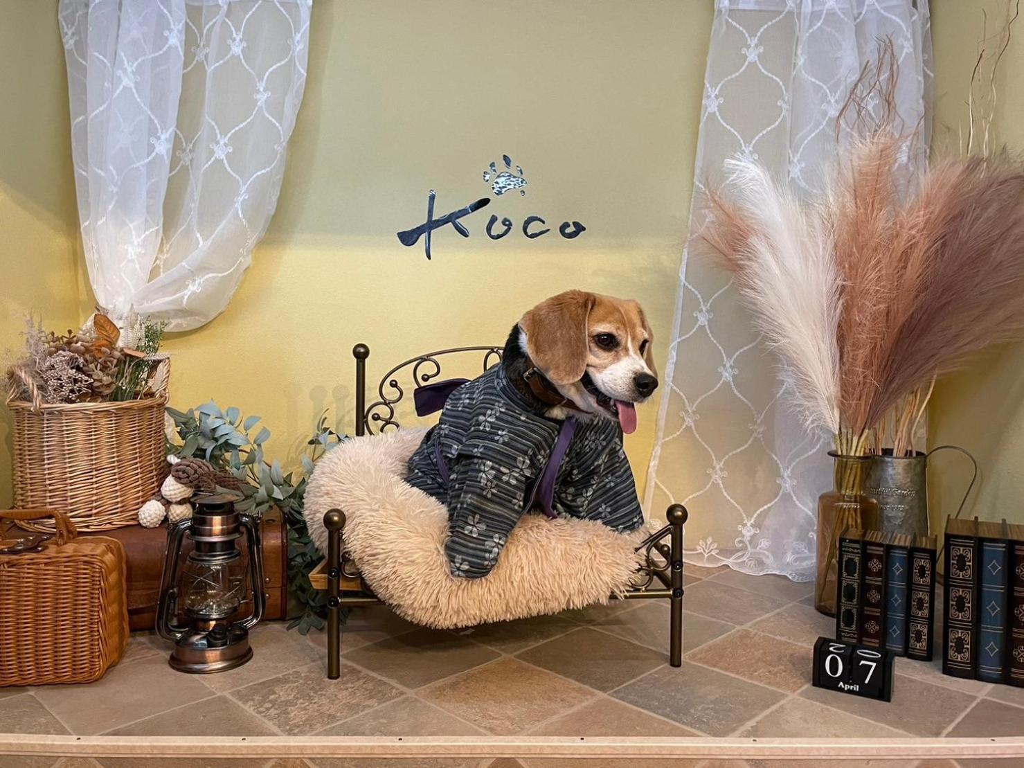 Villa Koco伊豆高原 à Itō Extérieur photo